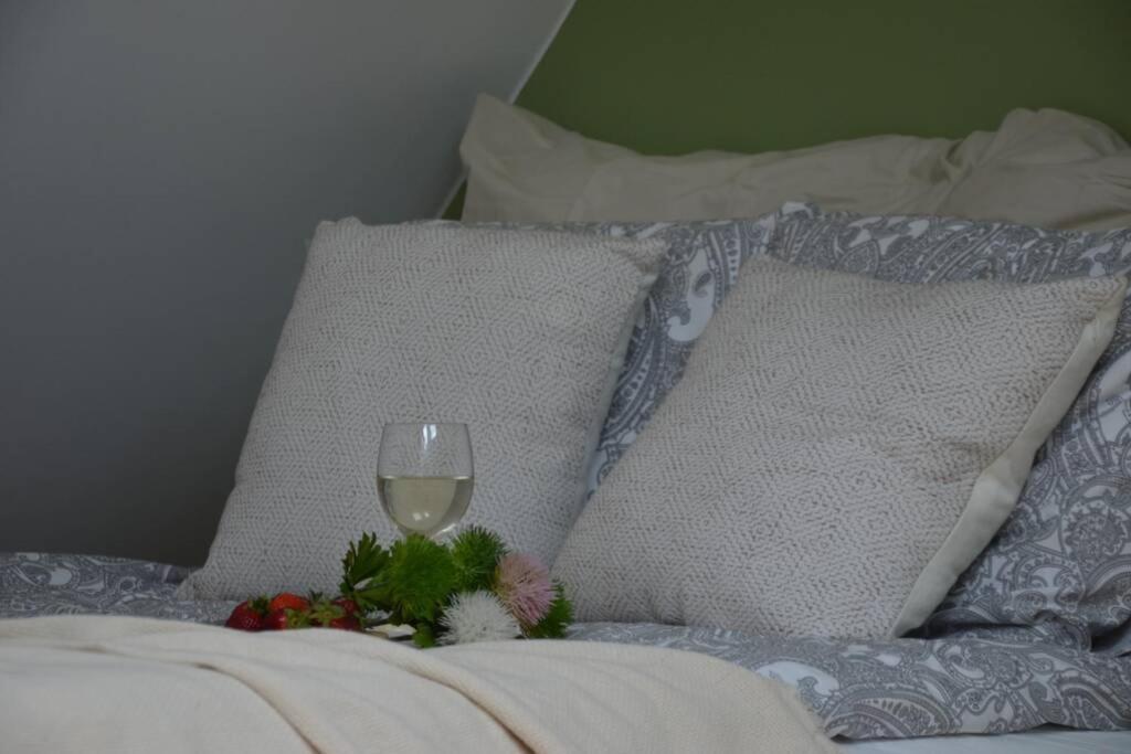 Ines Apartament Two Levels 105M2 In The Old Town Wi-Fi, Olsztyn  Eksteriør billede
