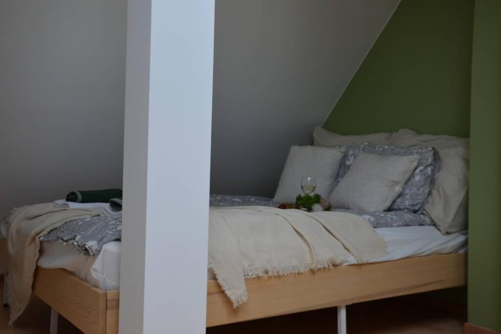 Ines Apartament Two Levels 105M2 In The Old Town Wi-Fi, Olsztyn  Eksteriør billede